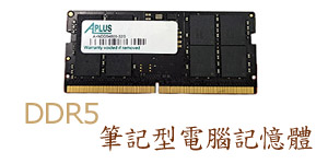 DDR5  OqΰO